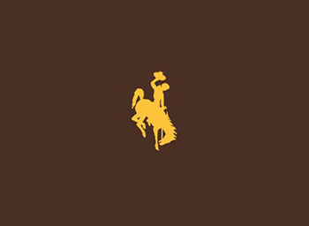 yellow bucking horse on brown background