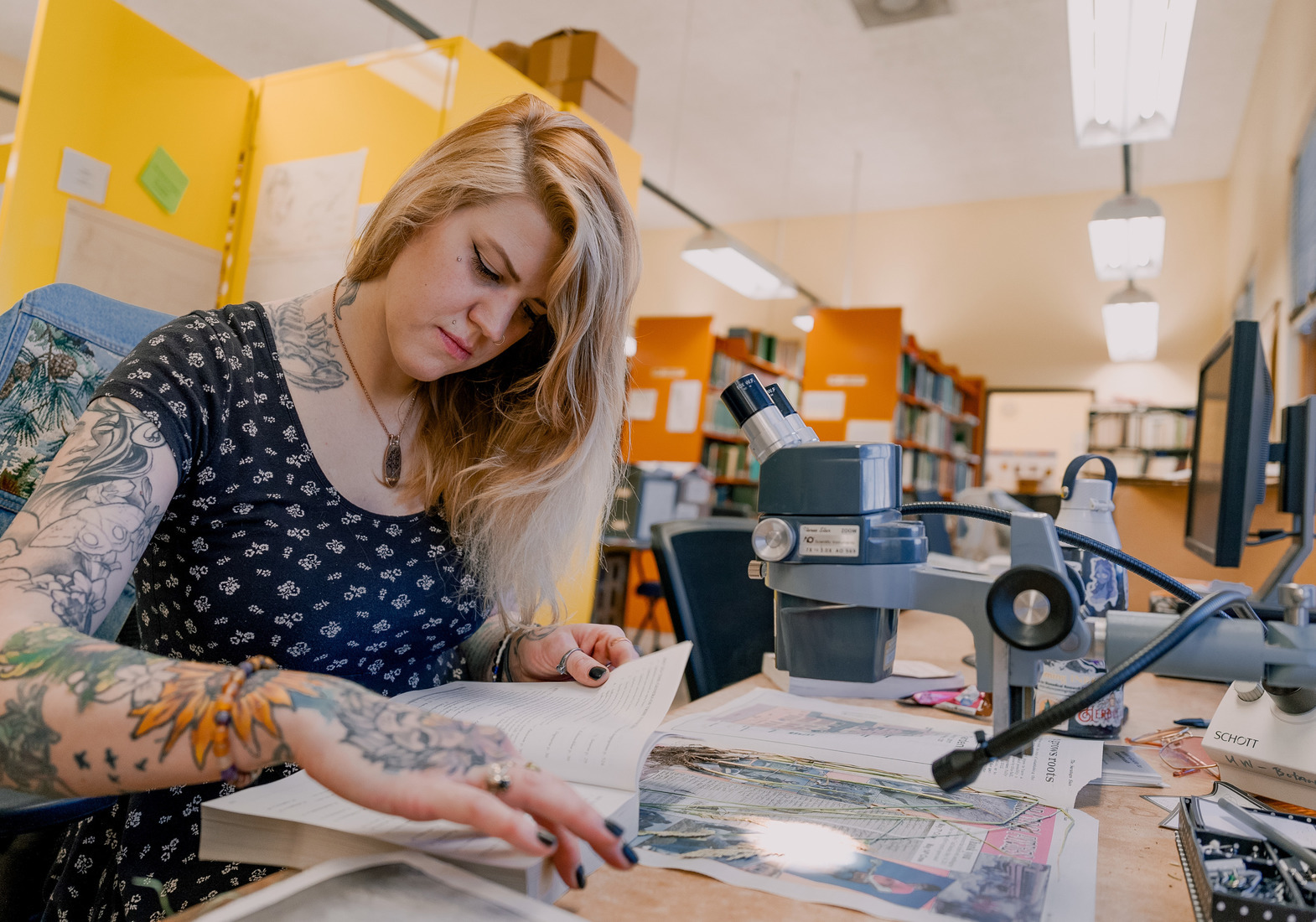 A student reviews botany samples in a brightly colored archive room.