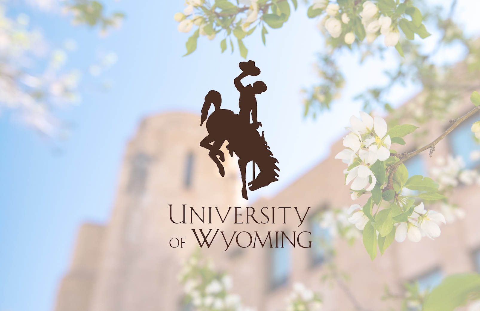 A stacked UW signature logo on a faded image of small flowers framing the Wyoming Union building.