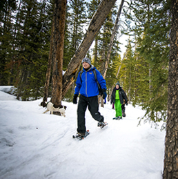 A student snowshoes in the forest