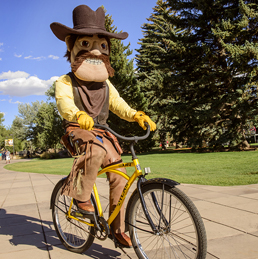 Pistol Pete riding a yellow bike from the bike library