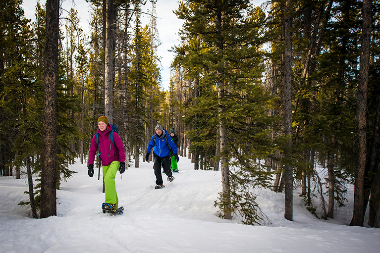 Group Snowshoeing through the trees