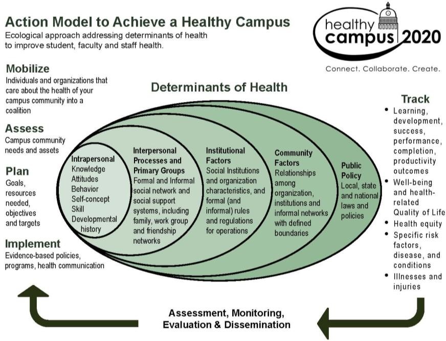 Image of Healthy Campus 2020 framework
