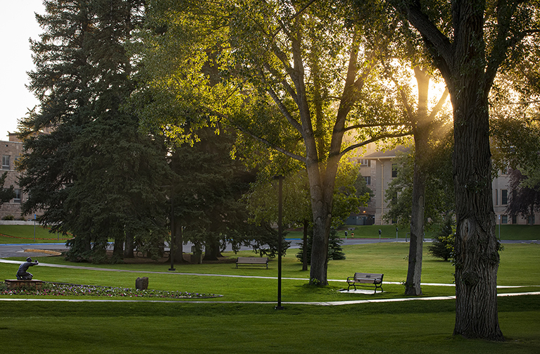 An outdoor scene from the UW campus