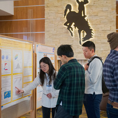 Several students looking at a poster display board with one student in front pointing to a graph.