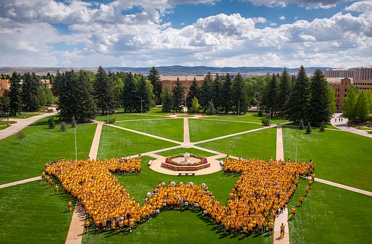 an aerial view of UW Prexy's Pasture with people wearing gold shirts standing in the shape of a W