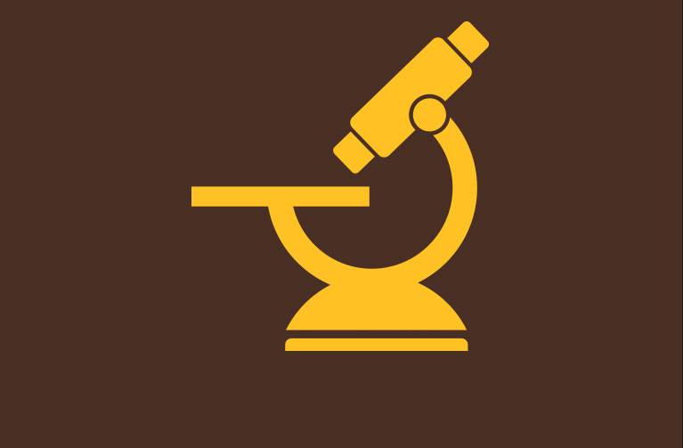 Research Icon 