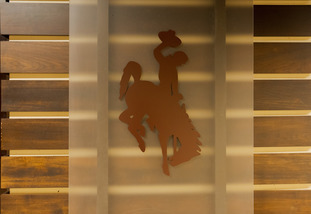 Wyoming logo with a wood background