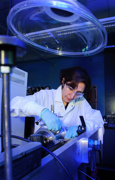 Worker in lab