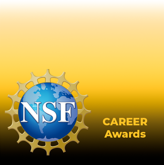 NSF Logo