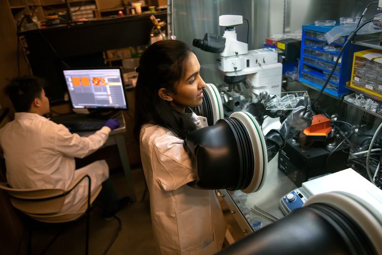 Two graduate students in a lab working on superconductors