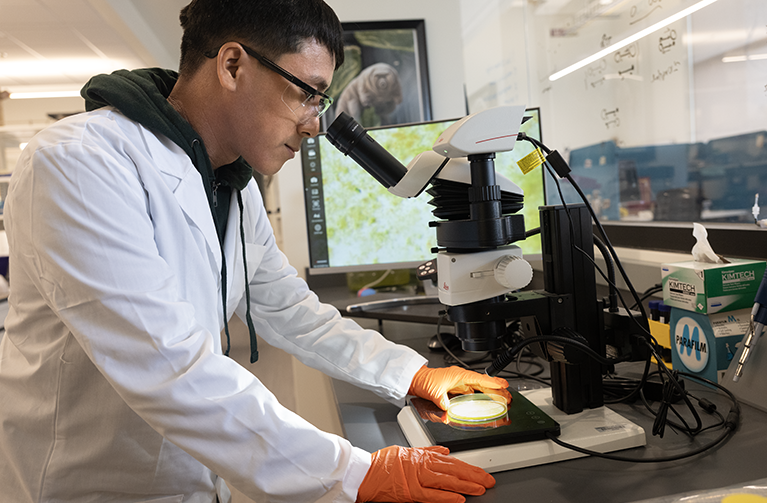 Person using microscope