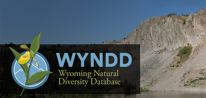 WYNDD logo
