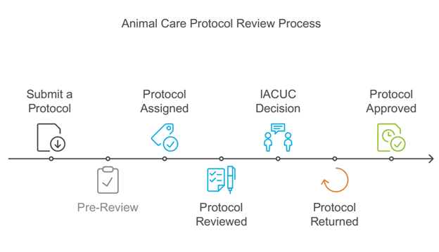 Animal Care Review Protocol
