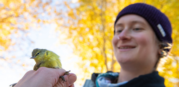 A UW student holds a bird as part of a University of Wyoming research project.