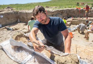 A researcher for the Wyoming IDeA program uses a brush to gently unearth buried artifacts.