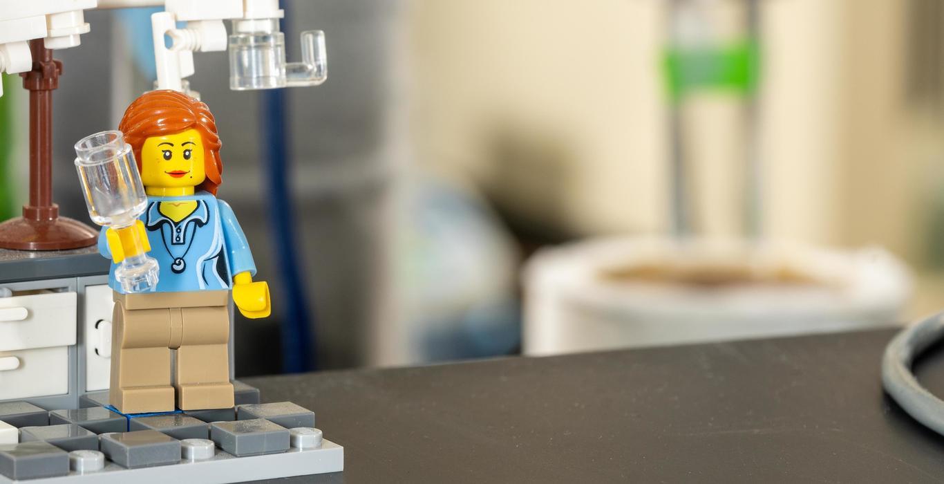 Lego Scientist in the Stable Isotope Facility The UW Stable Isotope Facility is a world-class core research lab at the University of Wyoming, providing quality isotopic analyses for the research community at UW and researchers world-wide. UW SIF offers a hands-on teaching and research facility for UW students, postdocs and faculty. This facility is engaged in the development of novel analytical techniques for research in biological and earth system sciences. Their mission is to provide quality data with the utmost integrity. Interpretation of this data is left up to the user.