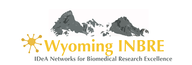 INBRE logo