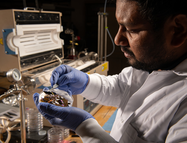 Researcher in lab holding and looking at a specimen