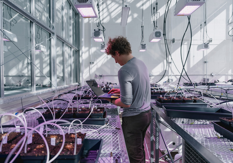 Researcher in lab of plants with tubes going to each plant