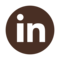 LinkedIn icon