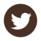 Twitter icon