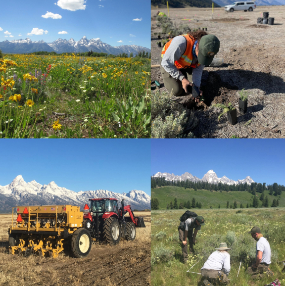 Images of sagebrush, field sites in the prairie, and a tractor