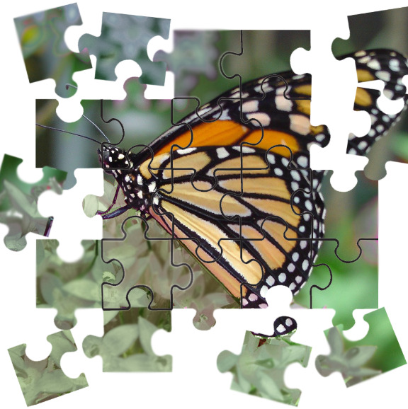 Incomplete puzzle depicting a monarch butterfly