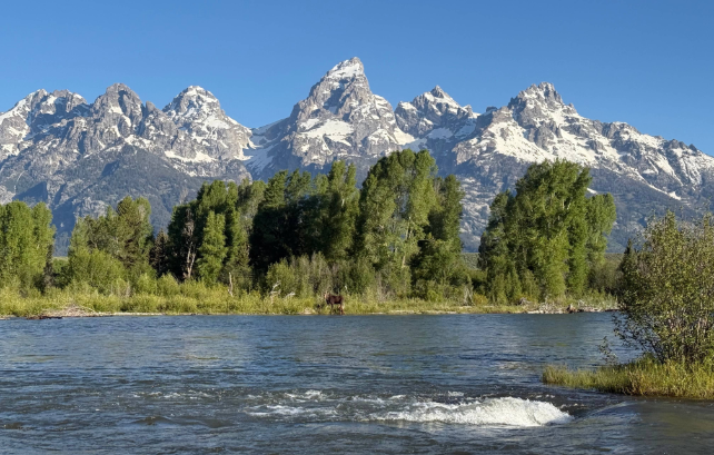 The Snake River beneath the Tetons
