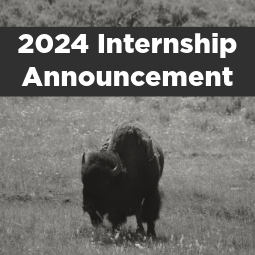View the 2024 GTNP Internship Announcement