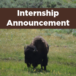 View the 2026 GTNP Internship Announcement