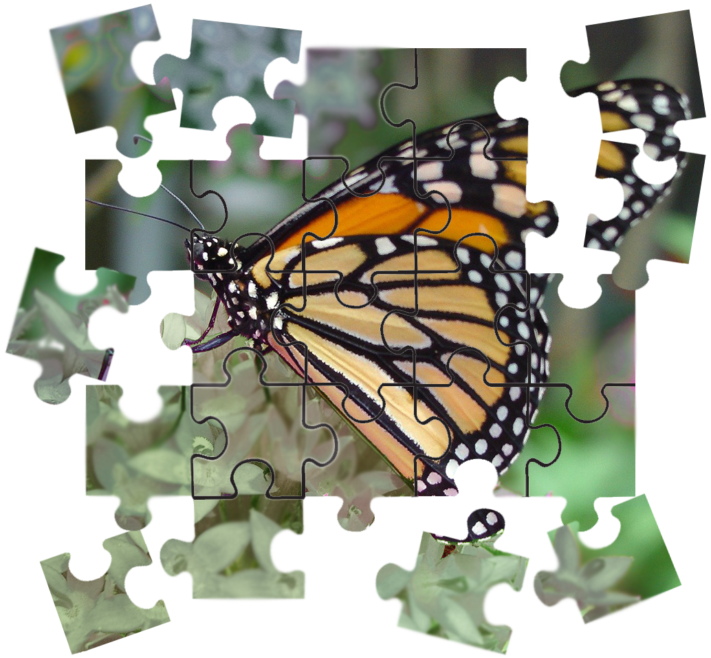 Butterfly puzzle