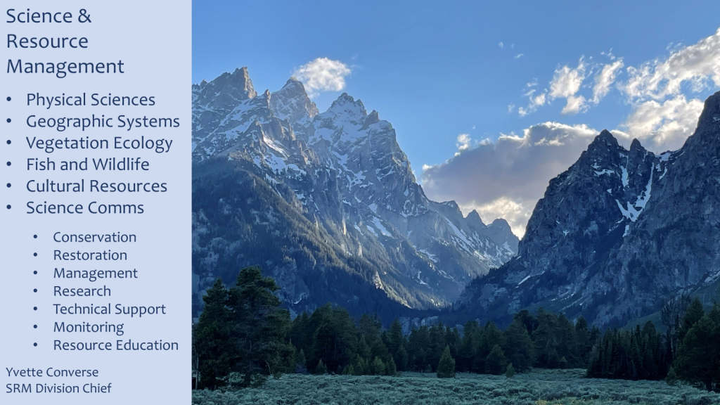 Tetons with lake in foreground