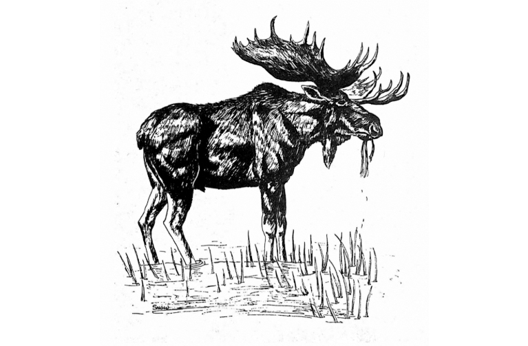 Jackson Hole Biological Research Station Logo