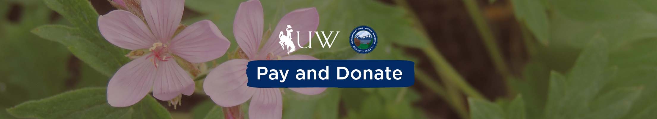 Pay and Donate