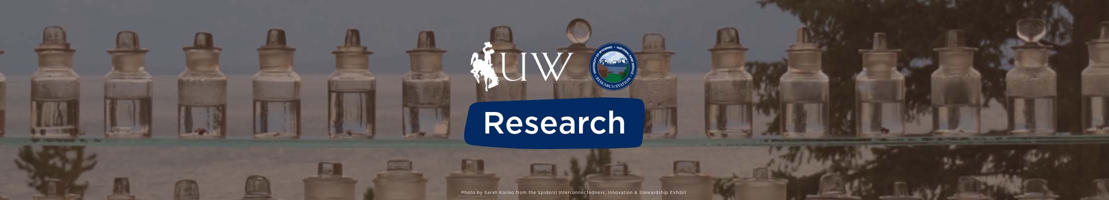 Research