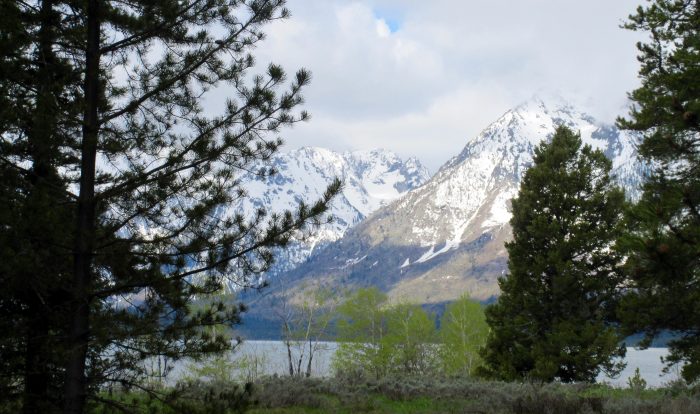 Image of the Grand Teton Mountains