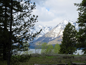 An image of the Grand Tetons