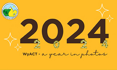 2024 in review 
