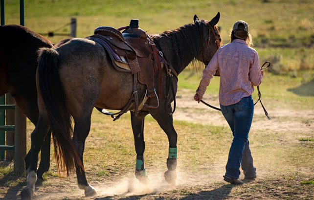young woman leading a horse