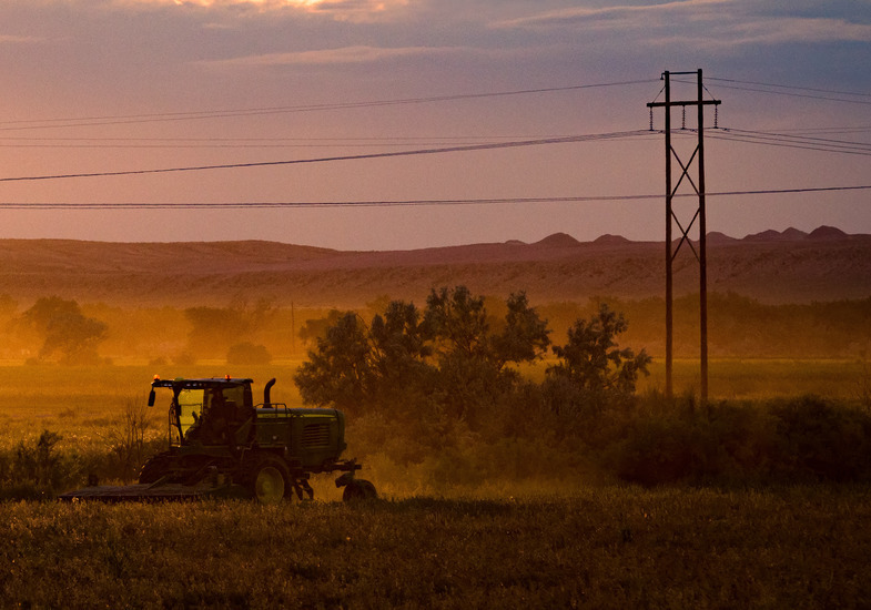 A harvester works a field of alfalfa at sunset near Lovell, Wyoming