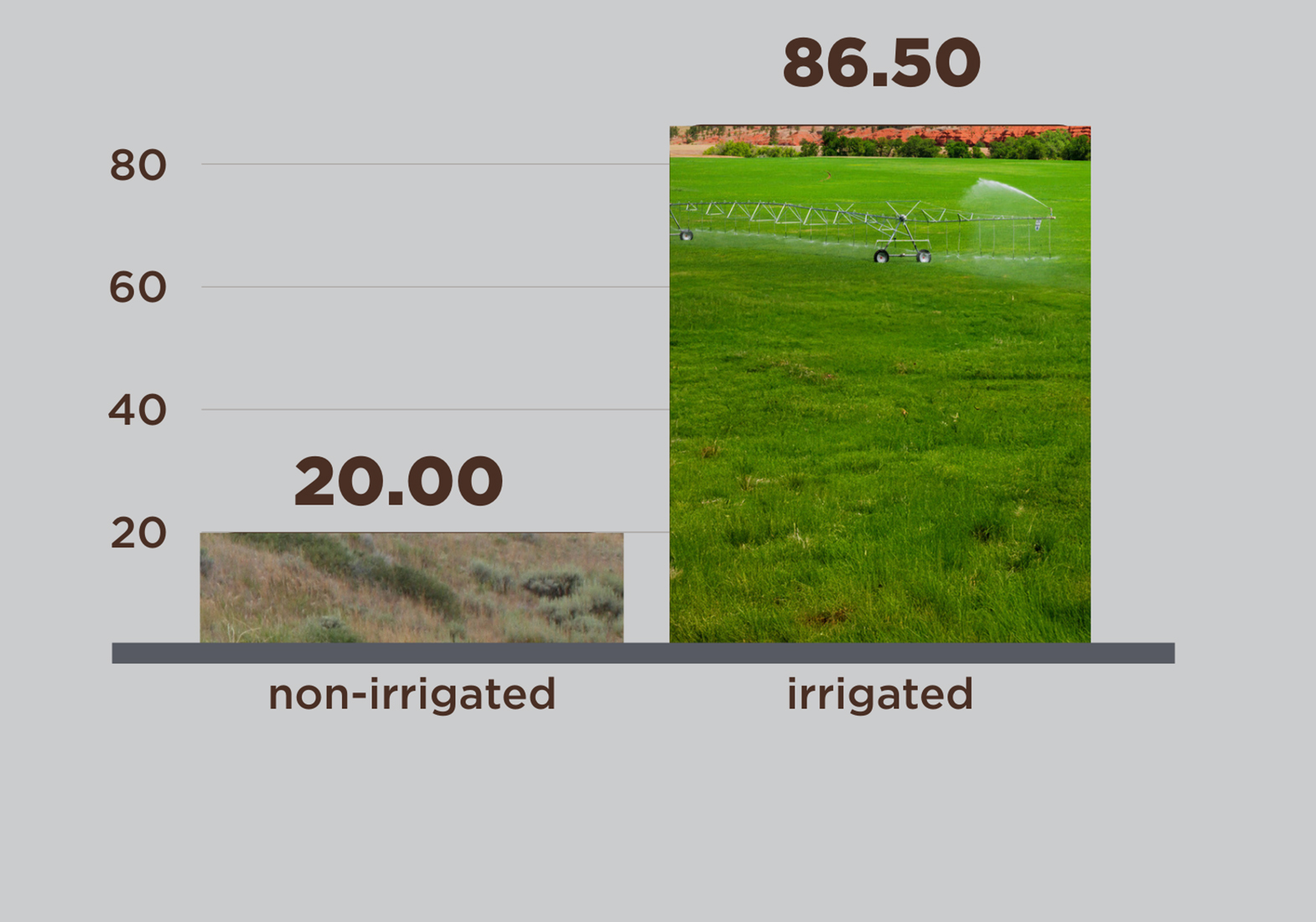 Cropland rent