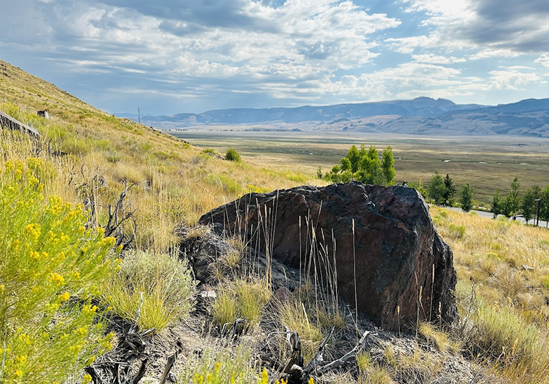 view from the mountainside over the National Elk Refuge, Jackson Hole