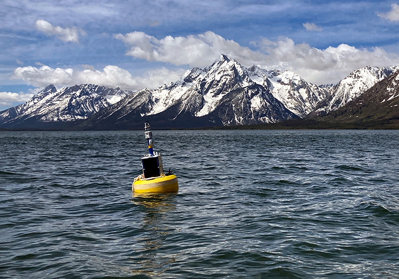Buoy on Jackson Lake