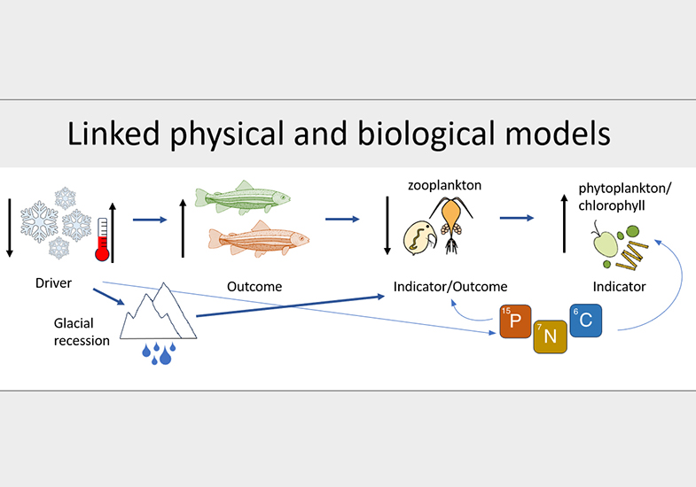 Linked models