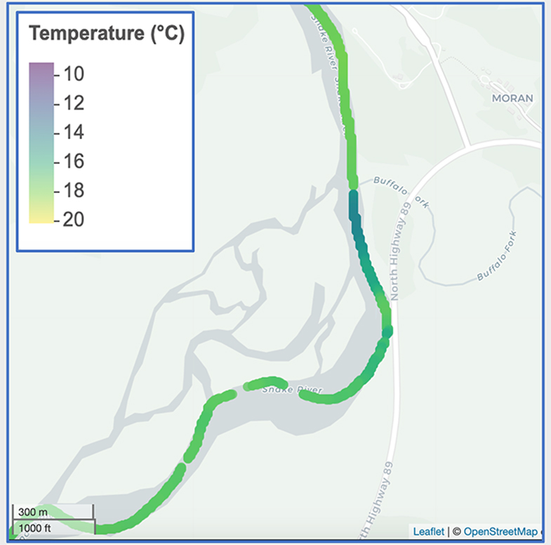 Temperature effect at Buffalo Fork