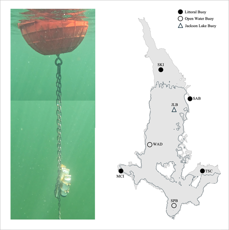buoy locations in Jackson Lake