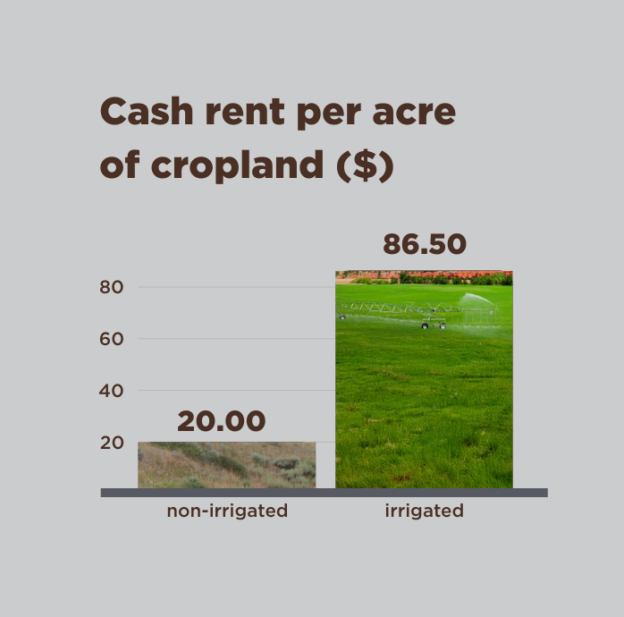 cropland rent