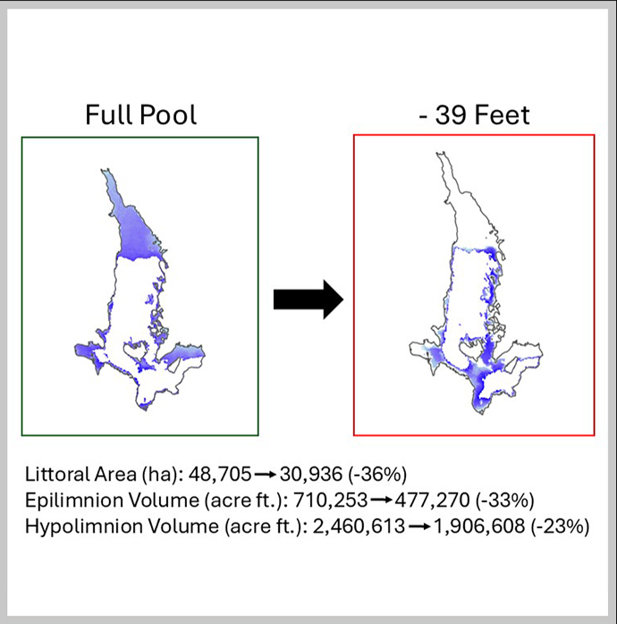 effects of drawdown in Jackson Lake