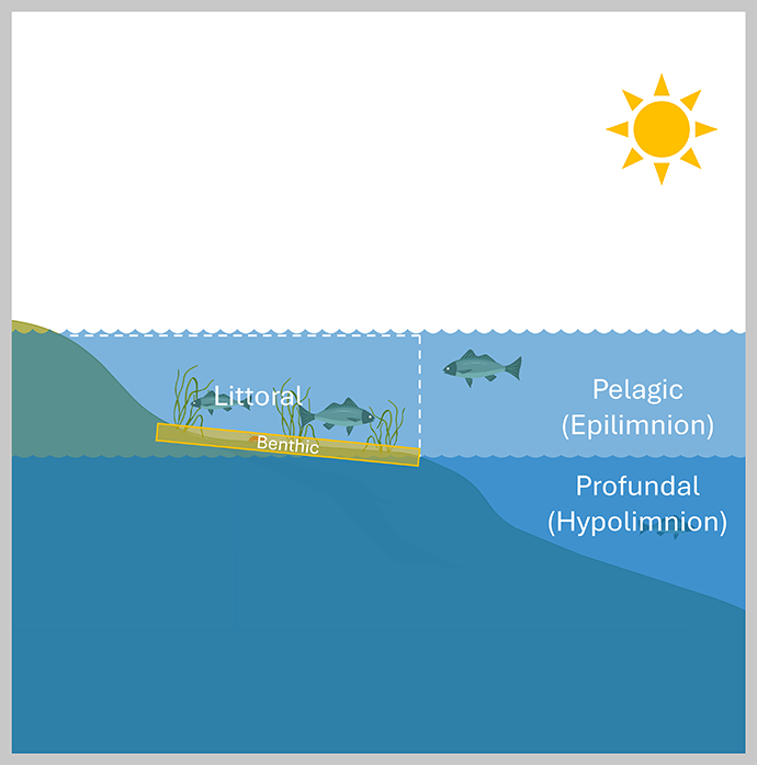 zones of a lake